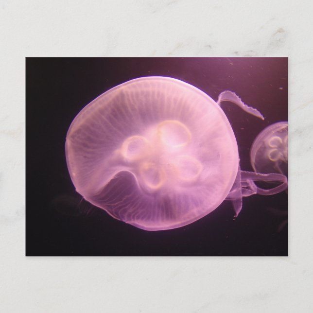 P6250304 POSTKARTE (Vorderseite)