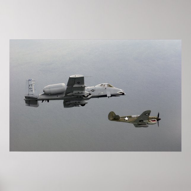 P-40 Tomahawk und A-10 Warthog Poster (Vorne)