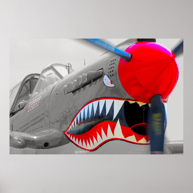 P-40 WARHAWK POSTER (Vorne)