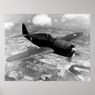 P-47D Thunderbolb Poster