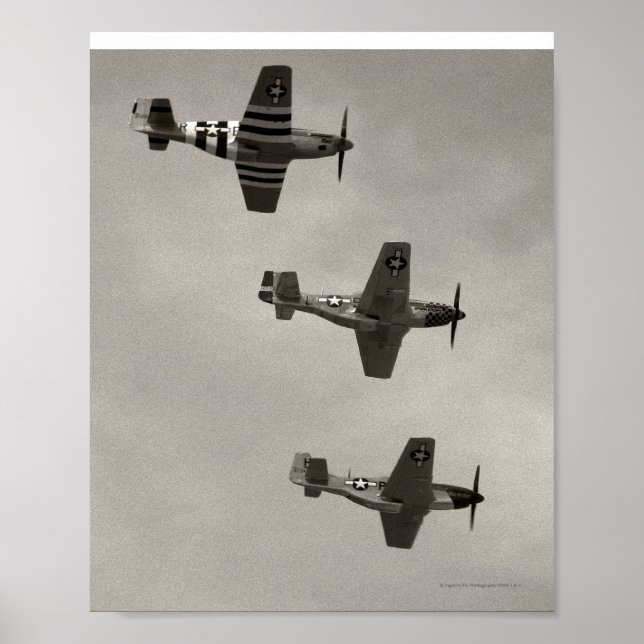 P-51 B und P51D Mustang Poster (Vorne)