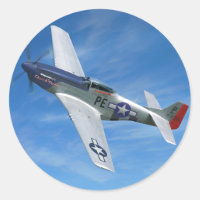 P-51D "Cripes A' Mighty"