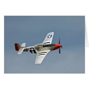 P-51D Mustang-Jäger mit D-Day-Markierungen im Flug