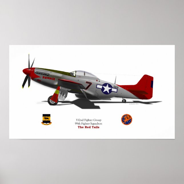 P-51Dtuskegee Poster (Vorne)