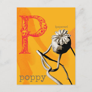 P ist für Poppy Postkarte