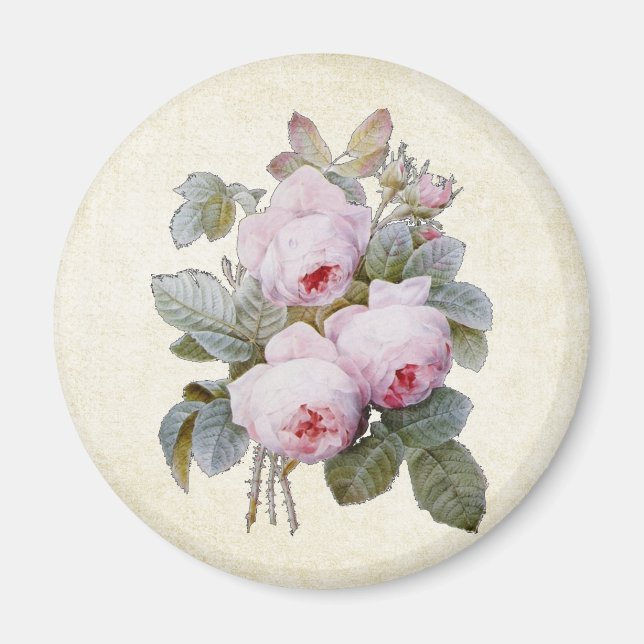P.J. Redoute Bourbon Rose Bouquet Magnet (Vorne)