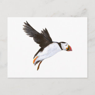 P. Puffin / Postfach Postkarte