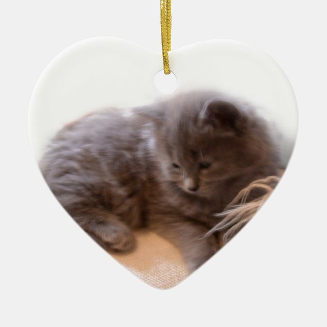 © P Wherrell niedliches langhaariges graues Keramikornament (Vorne)