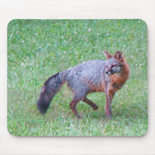 PA grauer Fox-Mausunterlage Mousepad (Vorne)