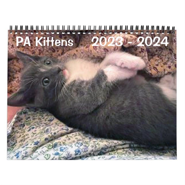 PA Kätzchen 2 Jahre Kalender (Titelbild)