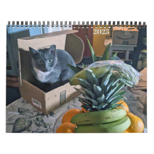 PA Paws 2025 12 Monat Personalisierter Kalender