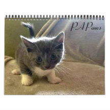 PA Paws 2 Year Calendar