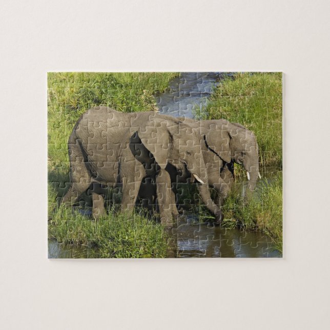 Paar afrikanischer Elefanten Masai Mara Puzzle (Horizontal)