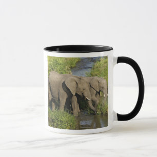 Paar afrikanischer Elefanten Masai Mara Tasse