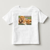 Paar Afrikanischer Löwen, Panthera leo, Tansania