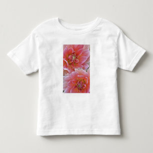 Paar Dahlienblüten, Dahlia spp. , Kleinkind T-shirt
