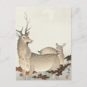 Paar Deers Painting von Ohara Koson Postkarte