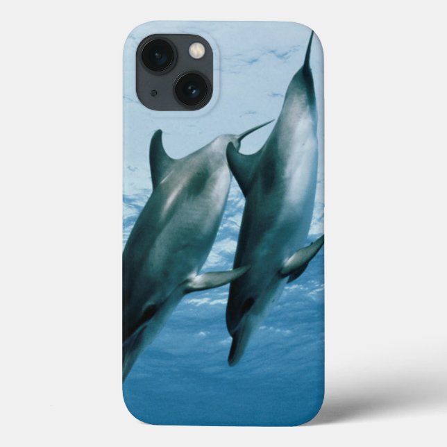 Paar Delphine Case-Mate iPhone Hülle (Rückseite)