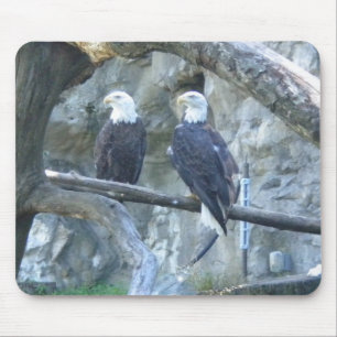 Paar der Bald-Adler Mousepad