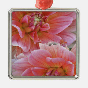 Paar der Dahlia-Blume, Dahlia spp.
, Ornament Aus Metall
