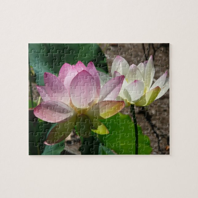 Paar der Lotus-Blume I Puzzle (Horizontal)