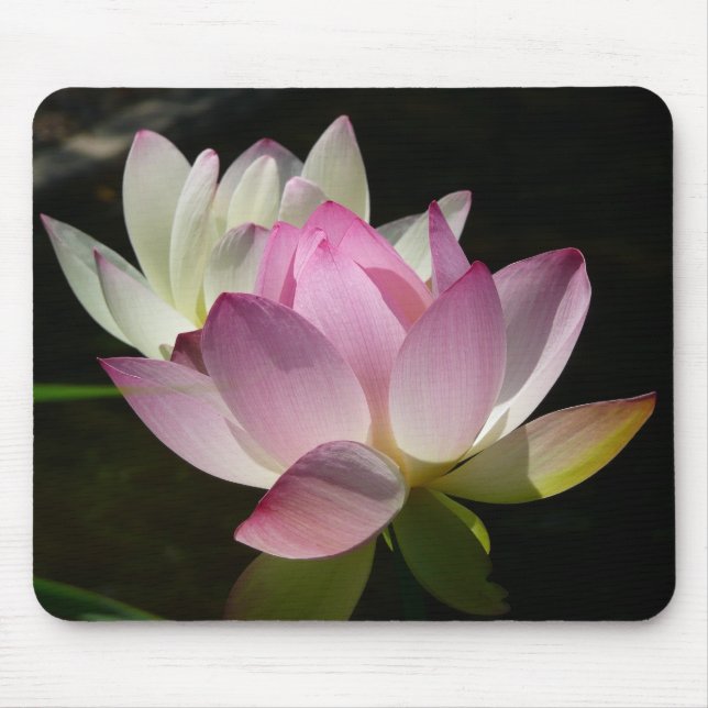 Paar der Lotus-Blume II Mousepad (Vorne)