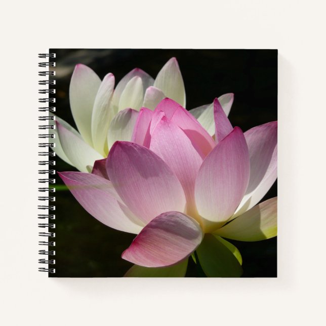Paar der Lotus-Blume II Notizbuch (Vorderseite)