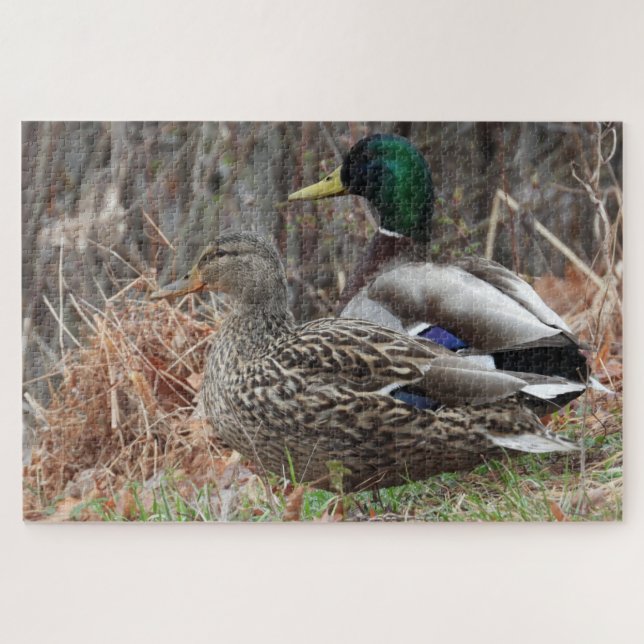 Paar der Mallard-Enten Puzzle (Horizontal)