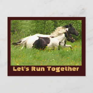 Paar der Postkarten von Pintos