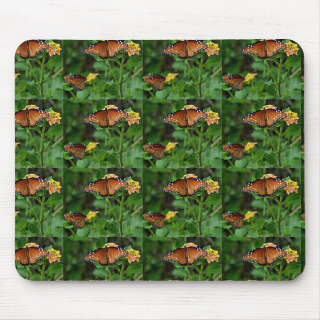 Paar der Schmetterlinge der Königin Mousepad (Vorne)