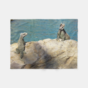 Paar der tropischen Naturfotografie von Iguanas Fleecedecke