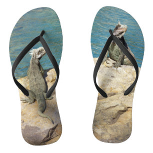 Paar der tropischen Naturfotografie von Iguanas Flip Flops