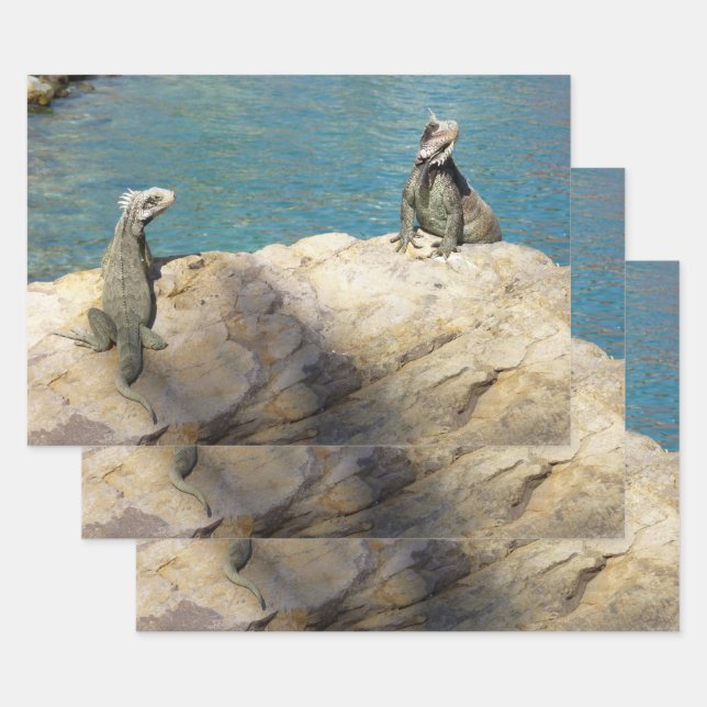 Paar der tropischen Naturfotografie von Iguanas Geschenkpapier Set (Set)