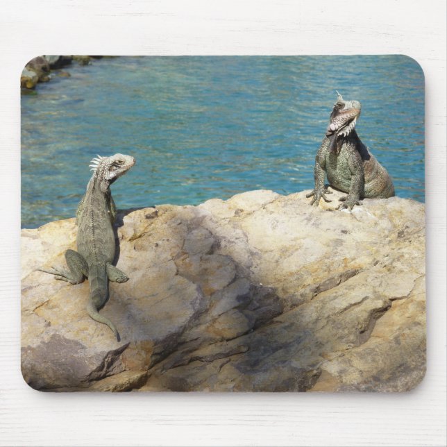 Paar der tropischen Naturfotografie von Iguanas Mousepad (Vorne)