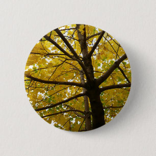 Paar gelber Ahornbäume Herbst Natur Button