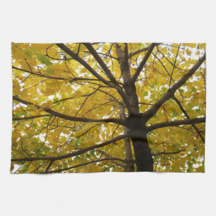 Paar gelber Ahornbäume Herbst Natur Geschirrtuch