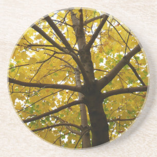Paar gelber Ahornbäume Herbst Natur Getränkeuntersetzer