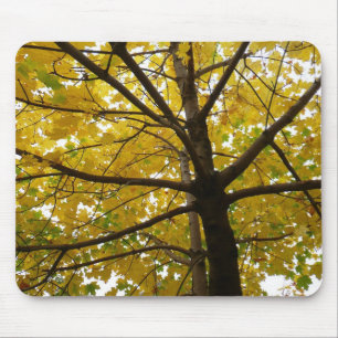 Paar gelber Ahornbäume Herbst Natur Mousepad