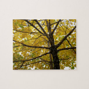 Paar gelber Ahornbäume Herbst Natur Puzzle