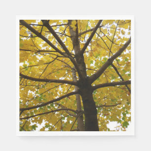 Paar gelber Ahornbäume Herbst Natur Serviette