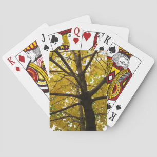 Paar gelber Ahornbäume Herbst Natur Spielkarten