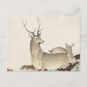 Paar Hirsche Vintage Postkarte