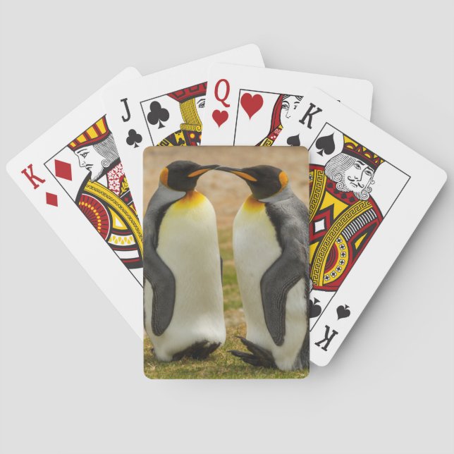 Paar König Pinguine, Falklands Spielkarten (Rückseite)