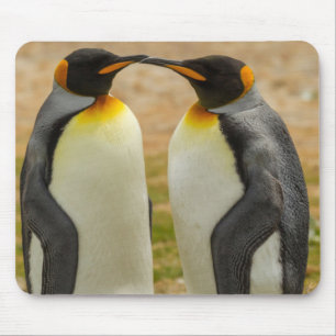 Paar Königspinguine, Falklandinseln Mousepad