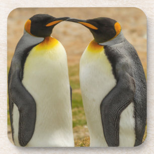 Paar Königspinguine, Falklandinseln Untersetzer