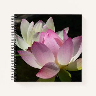 Paar Lotusblumen II Notizbuch