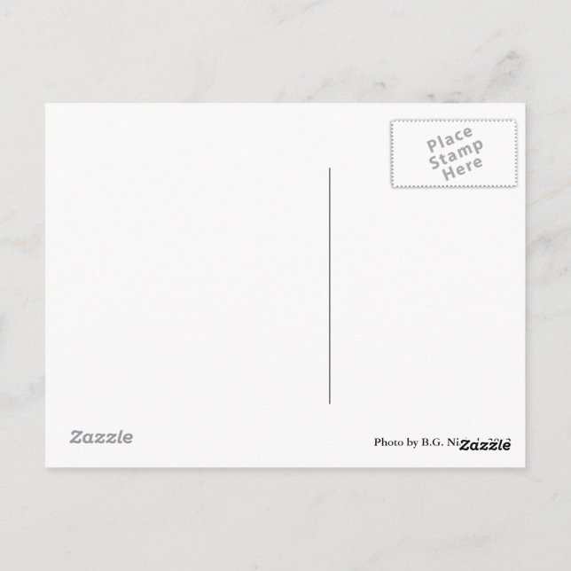 Paar Metallhunde Postkarte (Rückseite)