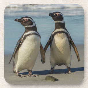 Paar Pinguine am Strand Getränkeuntersetzer
