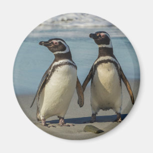 Paar Pinguine am Strand Magnet