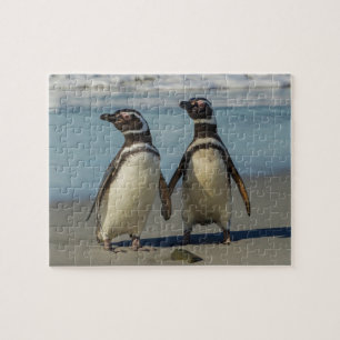 Paar Pinguine am Strand Puzzle